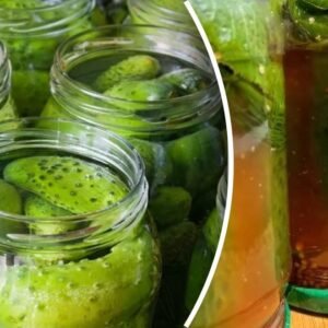 Paruošti marinuoti agurkai su pomidorų padažu