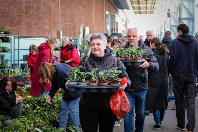 Jau kitą mėnesį augalų entuziastus vėl pakvies milžinišku asortimentu išsiskirianti Didžioji sodinukų mugė Didžioji sodinukų mugė